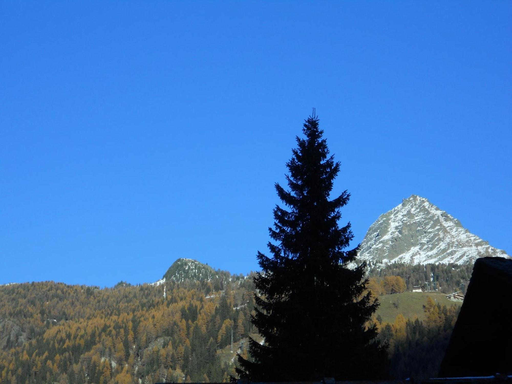 Affittacamere Petit Coeur Champoluc Esterno foto