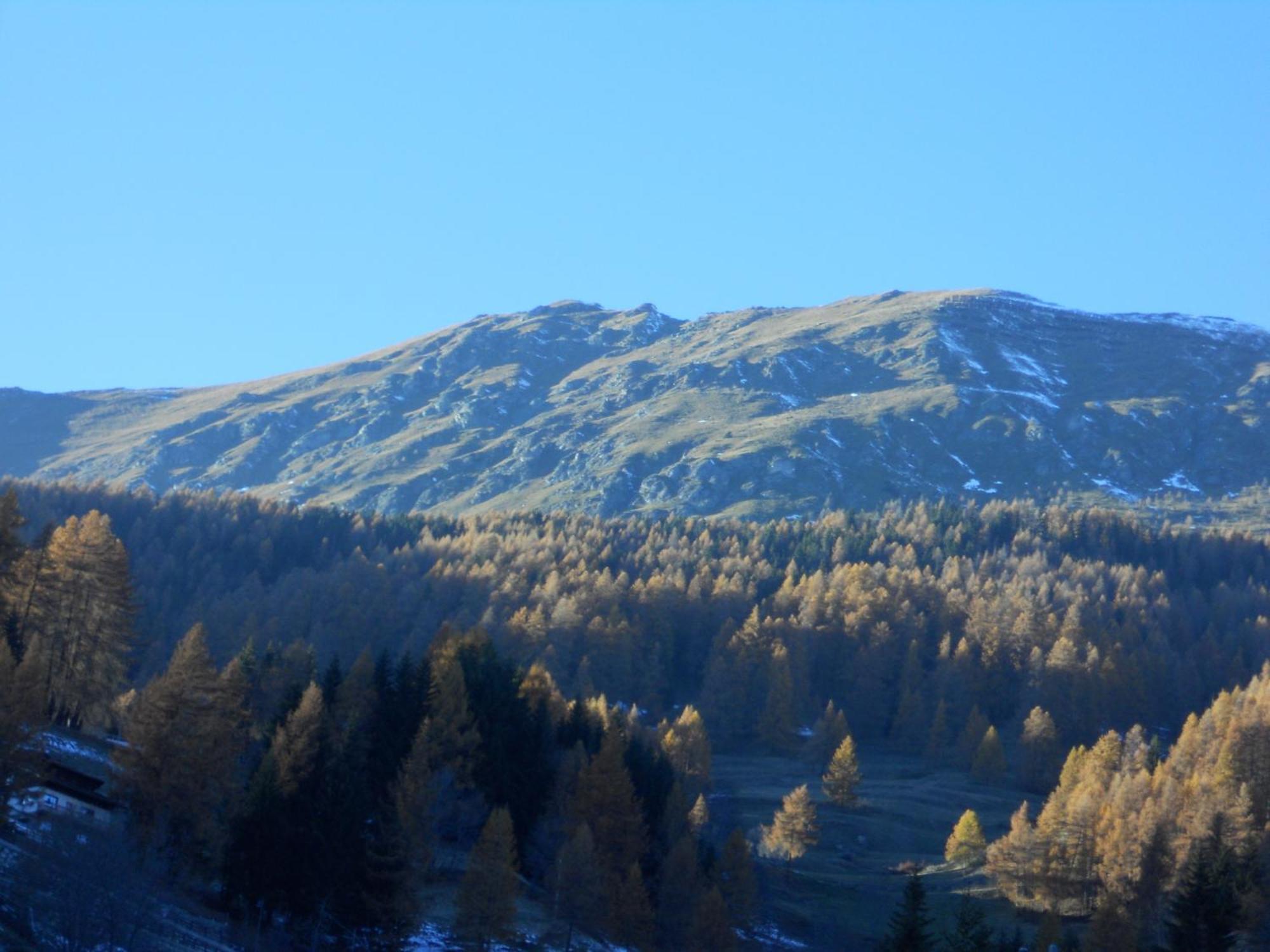 Affittacamere Petit Coeur Champoluc Esterno foto