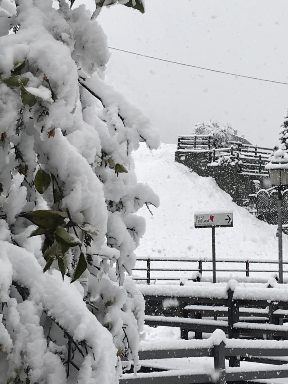Affittacamere Petit Coeur Champoluc Esterno foto